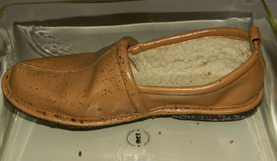 bed bug infested slipper