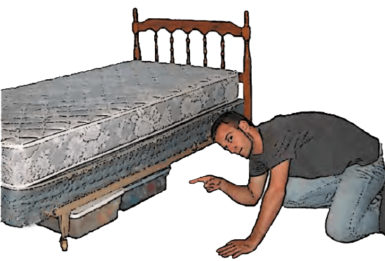 No-clutter-under-bed no clutter under the bed