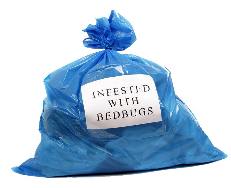 bed-bug-bag-labeled bag labeled for bed bugs disposal