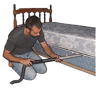 vaccum-mattress-and-box-springs vacuum the mattress and box spring